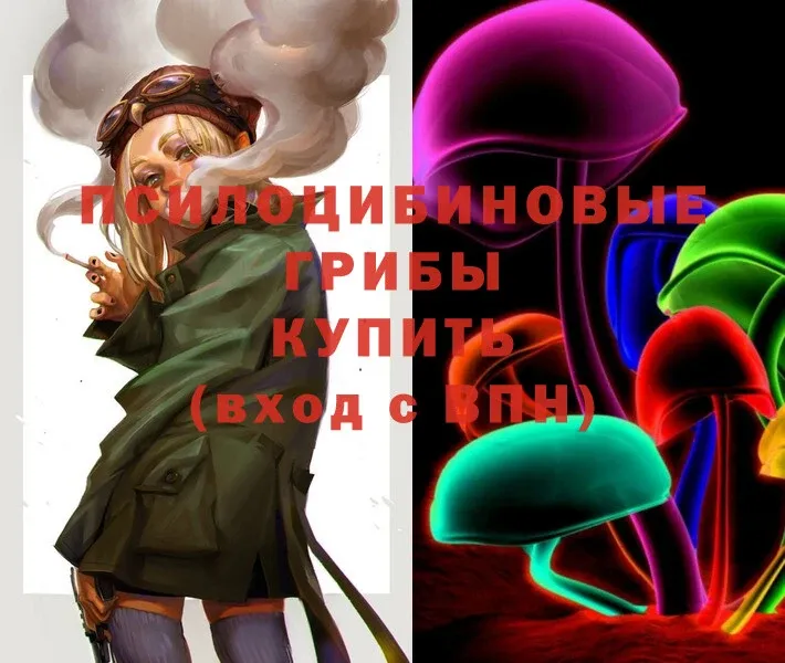 Псилоцибиновые грибы Magic Shrooms  Калининград 